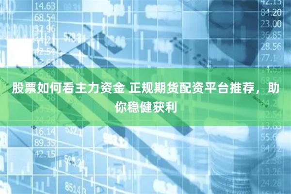 股票如何看主力资金 正规期货配资平台推荐，助你稳健获利