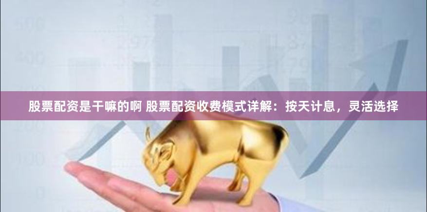 股票配资是干嘛的啊 股票配资收费模式详解：按天计息，灵活选择