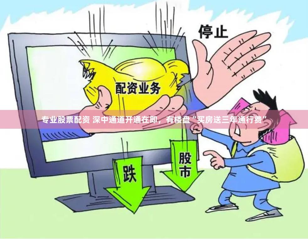 专业股票配资 深中通道开通在即，有楼盘“买房送三年通行费”